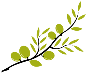 olive-branch-clipart